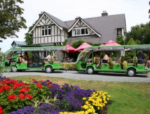 Christchurch Botanic Gardens Tour